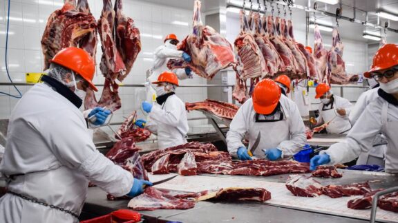 Argentina rompe récord de exportación de carne vacuna de más de medio siglo Image