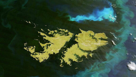 malvinas